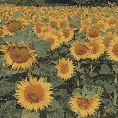 腾讯分分彩登录